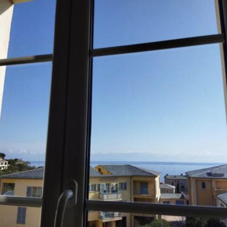 Beau T2 Au Calme A Deux Pas Du Port D'Erbalunga Appartement Erbalunga  Buitenkant foto